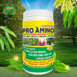 Pro Amino