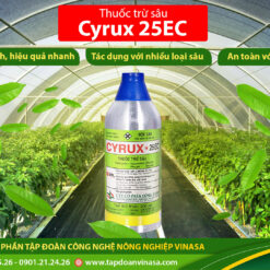 Cyrux 25EC