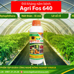 lân hai chiều agrifos 640