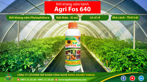 lân hai chiều agrifos 640