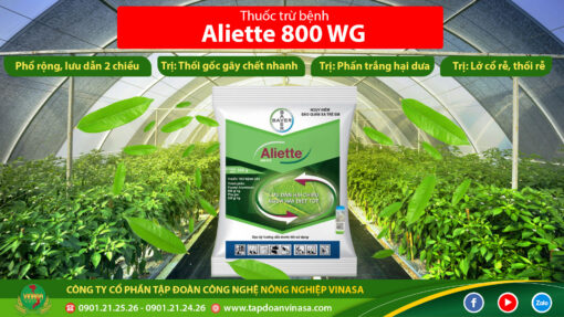 thuốc trừ nấm Aliette