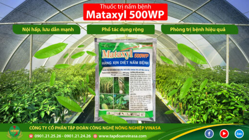 thuốc trừ nấm mataxyl