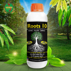 Roots 10