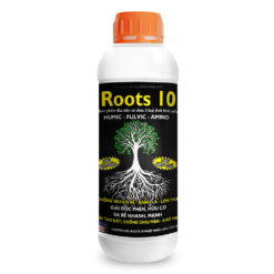 Roots 10