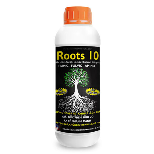 Roots 10