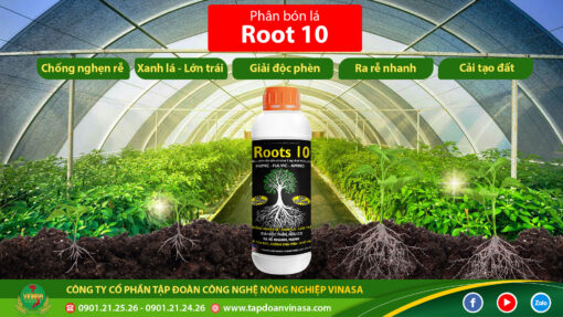 Roots 10