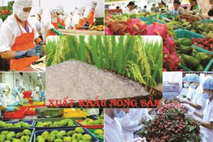 xuất khẩu nông sản