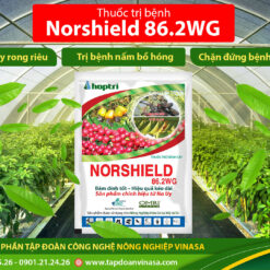 Norshield 86.2 WG