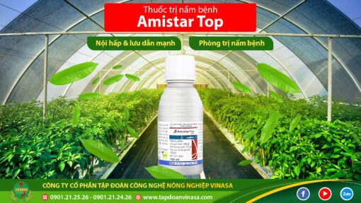 Amistar Top 325-sc