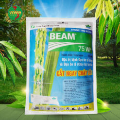 beam 75wp