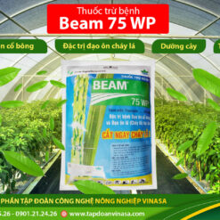 beam 75wp