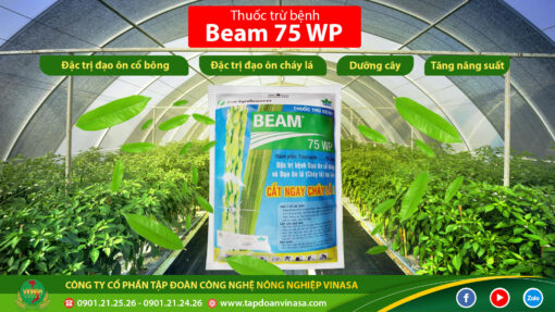 beam 75wp