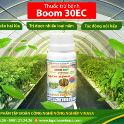 Boom 30EC