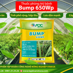 bump đặc trị đạo ôn