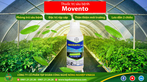 movento trị bọ trĩ rệp sáp