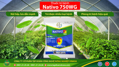 nativo 750wg