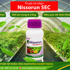 nissorun khắc tinh của nhện