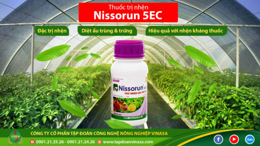 nissorun khắc tinh của nhện