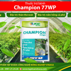 thuốc trừ nấm bệnh champion 77wp