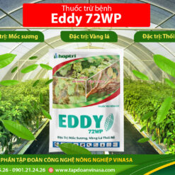 thuốc trừ bệnh eddy 72wp