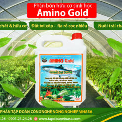 Amino Gold