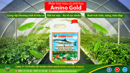 Amino Gold