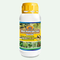 dưỡng trái sầu riêng max fruits