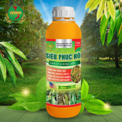 Siêu Phục Hồi