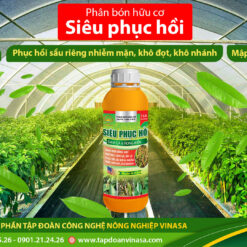 Siêu Phục Hồi