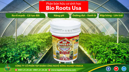 xô tươi bio roots usa