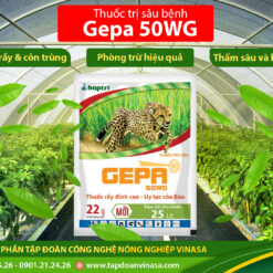 gepa 50wg