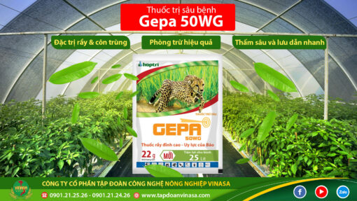 gepa 50wg