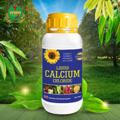 Horti Calcium