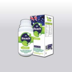 phân bón lá Reach 250ml