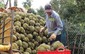 sàn thương mại điện tử