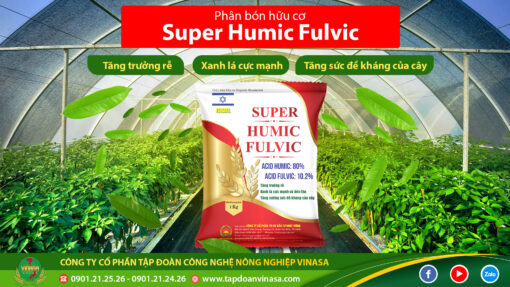 Siêu kích rễ Super Humic Fulvic