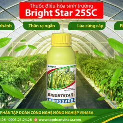 Brightstar 25sc