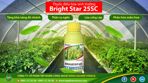 Brightstar 25sc