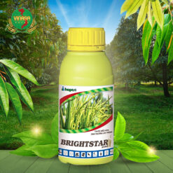 Brightstar 25sc