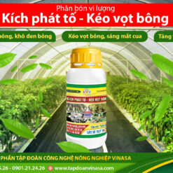 kích phát tố kéo vọt bông