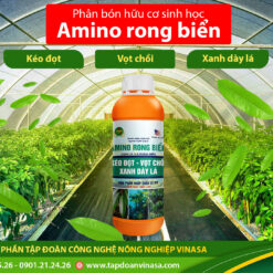 Phân bón lá Amino rong biển