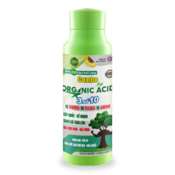 combo organic số 10