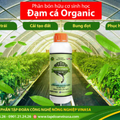 Phân bón đạm cá organic