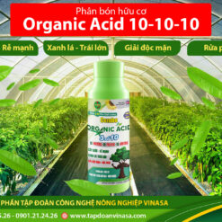 combo organic số 10