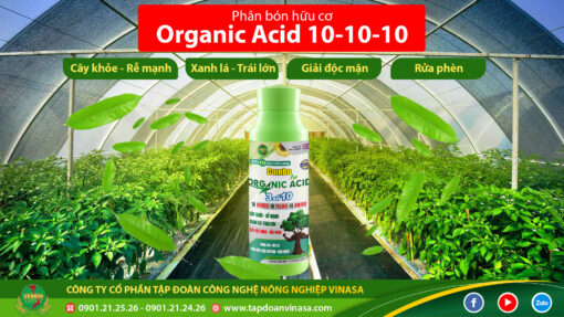 combo organic số 10