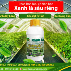 Xanh lá sầu riêng