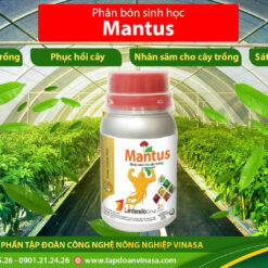 phân bón vi lượng mantus