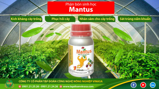 phân bón vi lượng mantus