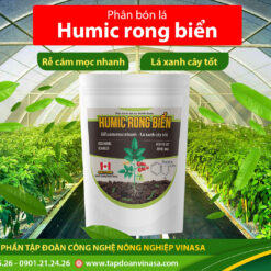 Humic Rong Biển