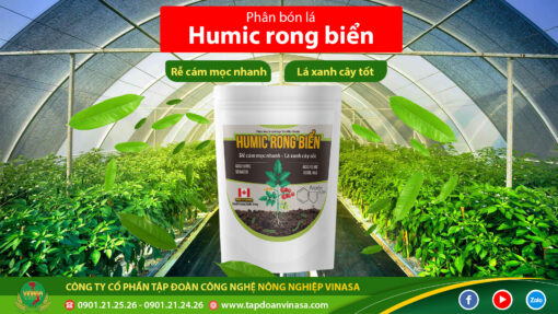 Humic Rong Biển